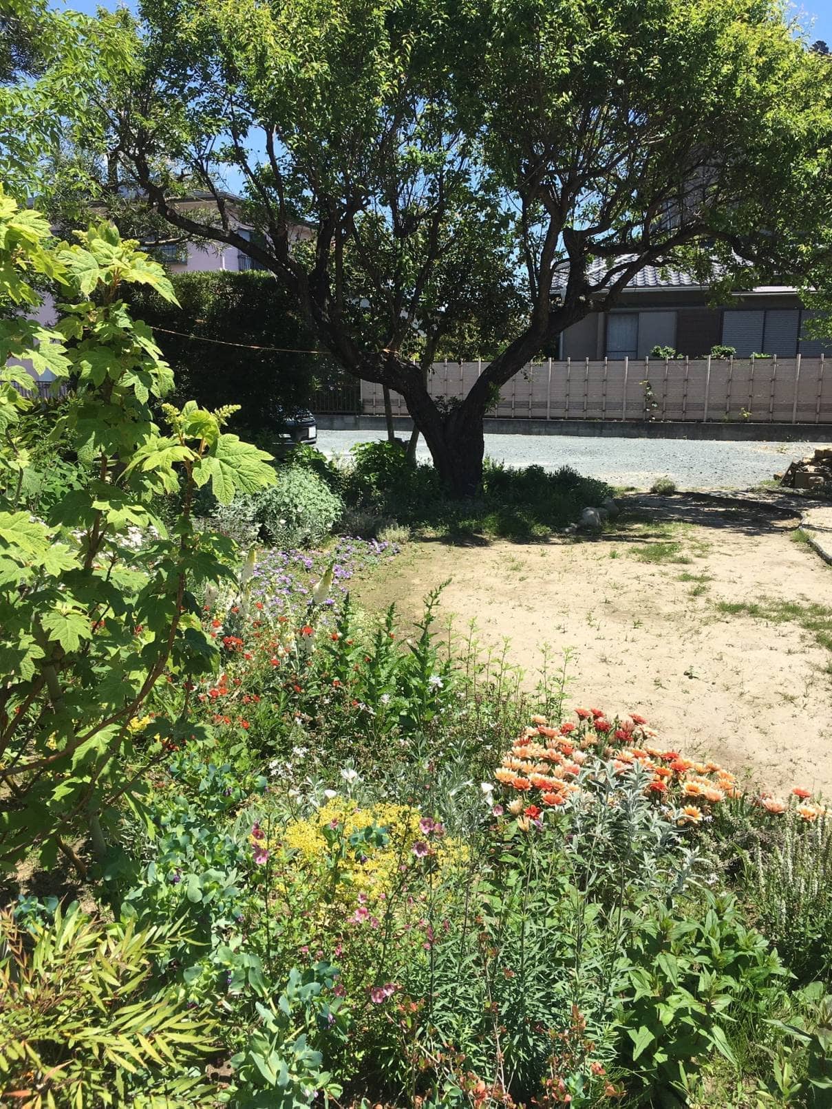 蔵のカフェ　スモールガーデン