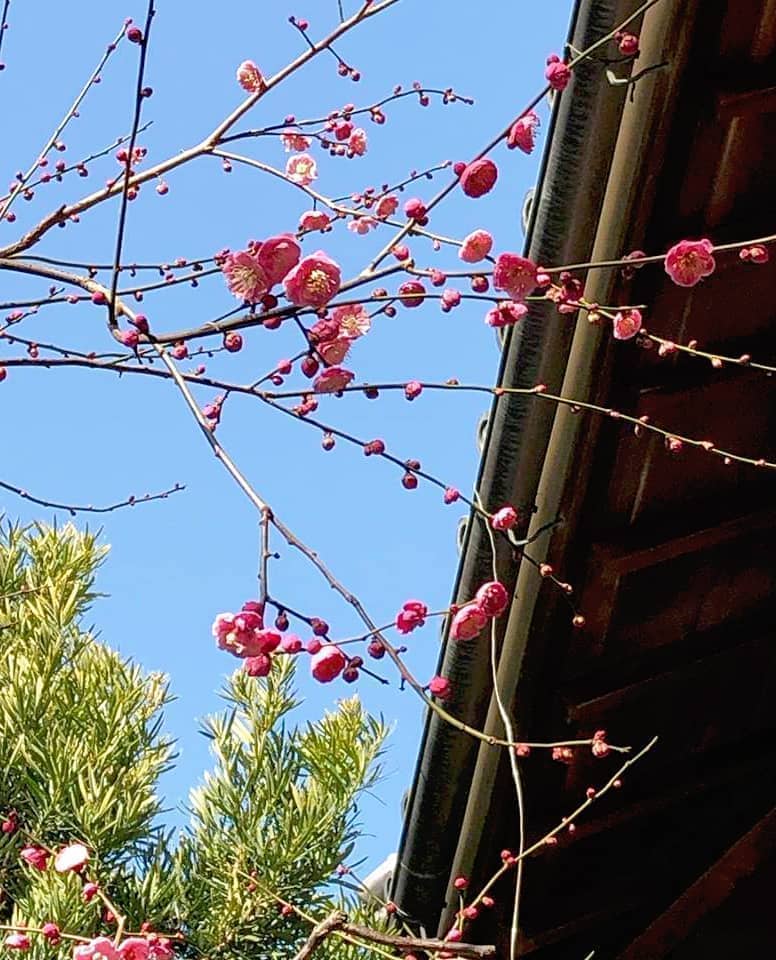 蔵のカフェ　スモールガーデン